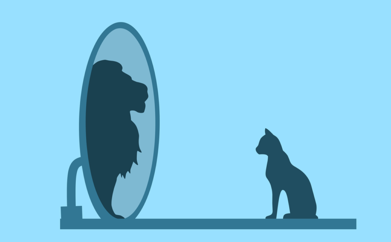 Cat-mirror-lion